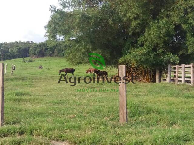 Fazenda para Venda em Paranaíta - 5