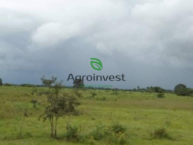 Fazenda para Venda em Poconé - 5