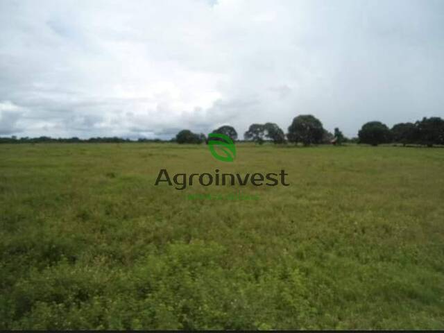 Fazenda para Venda em Poconé - 3