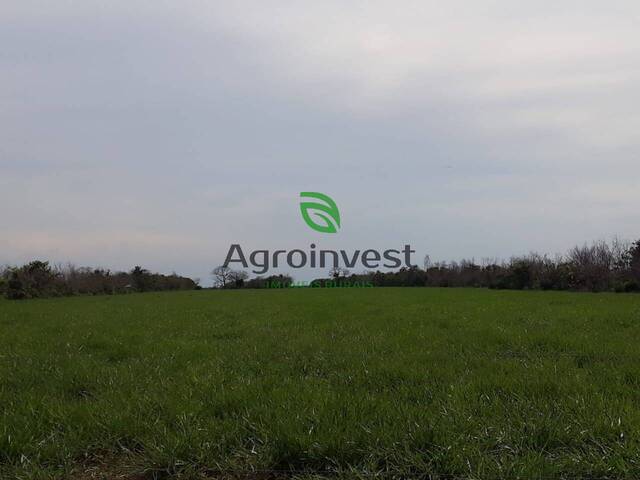 Fazenda para Venda em Alto Boa Vista - 4