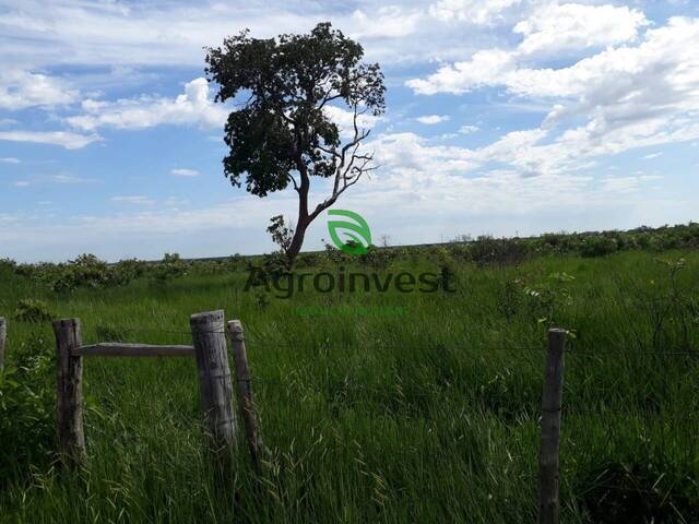Fazenda para Venda em Alto Boa Vista - 5