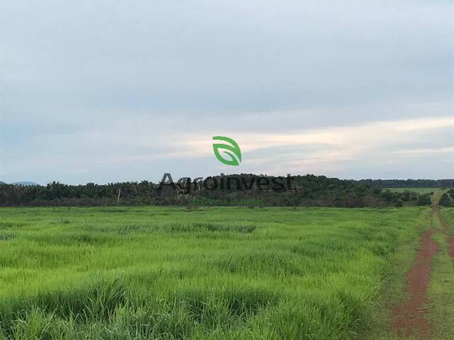 Fazenda para Venda em Santa Terezinha - 4