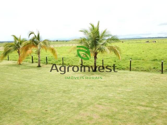 Fazenda para Venda em Santa Terezinha - 5