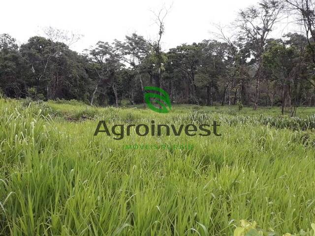 Fazenda para Venda em Talismã - 4