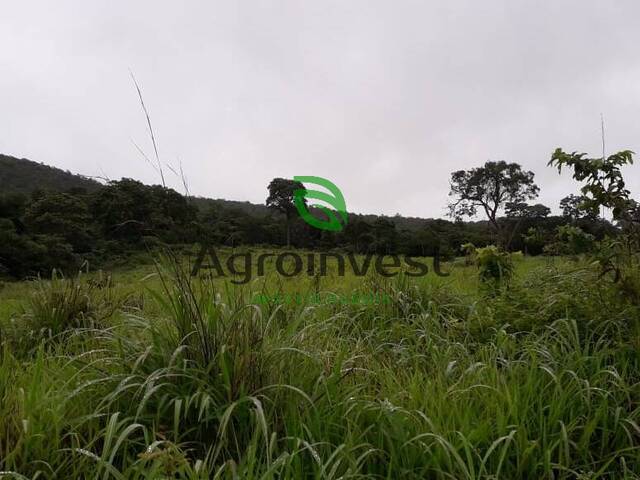 #948 - Fazenda para Venda em Talismã - TO - 2