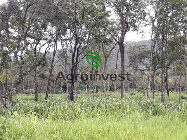 Fazenda para Venda em Talismã - 5