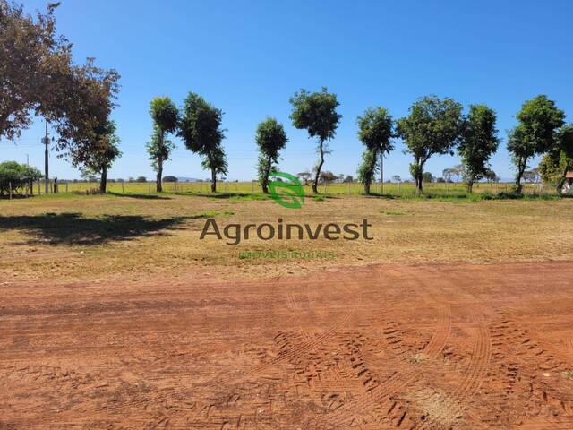 Fazenda para Venda em Formosa - 2