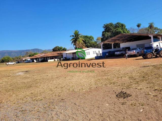 Fazenda para Venda em Formosa - 4