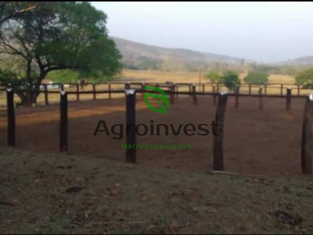 Fazenda para Venda em Poxoréo - 4