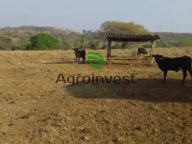 Fazenda para Venda em Poxoréo - 5