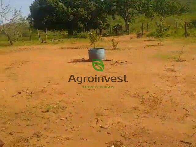 #953 - Fazenda para Venda em Trombas - GO - 3