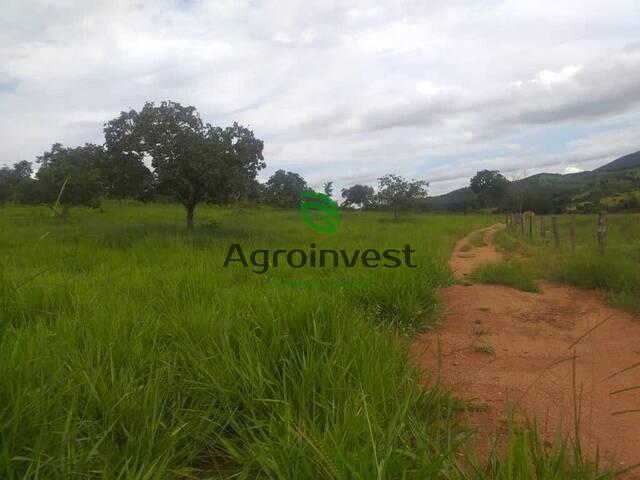Fazenda para Venda em Trombas - 5