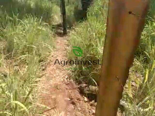 Fazenda para Venda em Trombas - 5