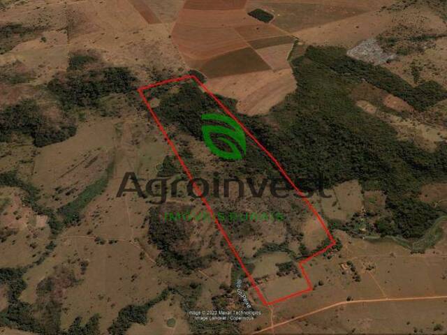 #964 - Fazenda para Venda em Caturaí - GO - 3