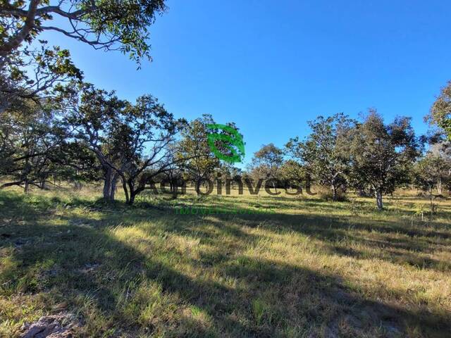 Fazenda para Venda em União - 4