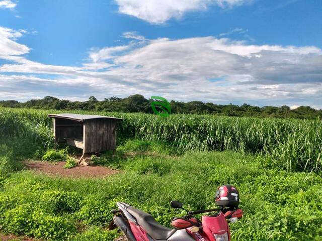Fazenda para Venda em Água Boa - 4