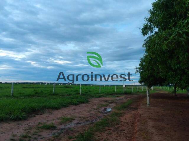 #971 - Fazenda para Venda em Água Boa - MT - 2