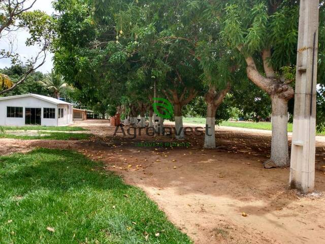 Fazenda para Venda em Água Boa - 5