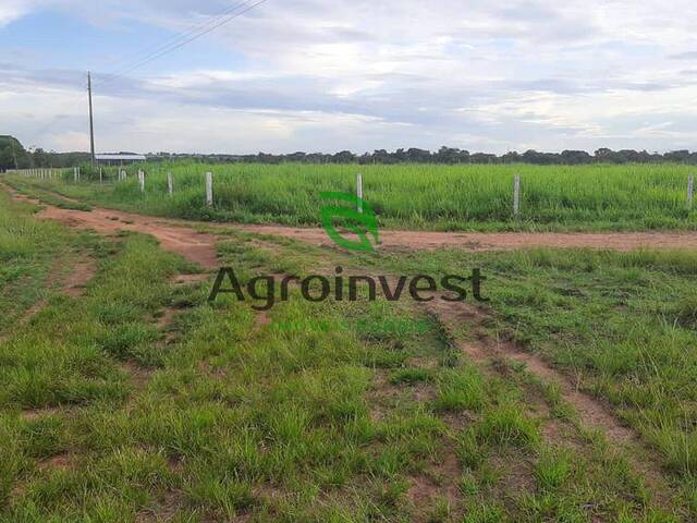 #971 - Fazenda para Venda em Água Boa - MT - 3