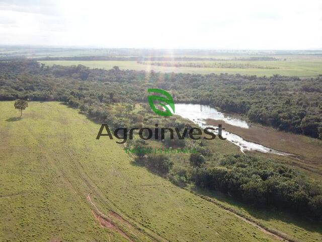 #990 - Fazenda para Venda em Itumbiara - GO - 3