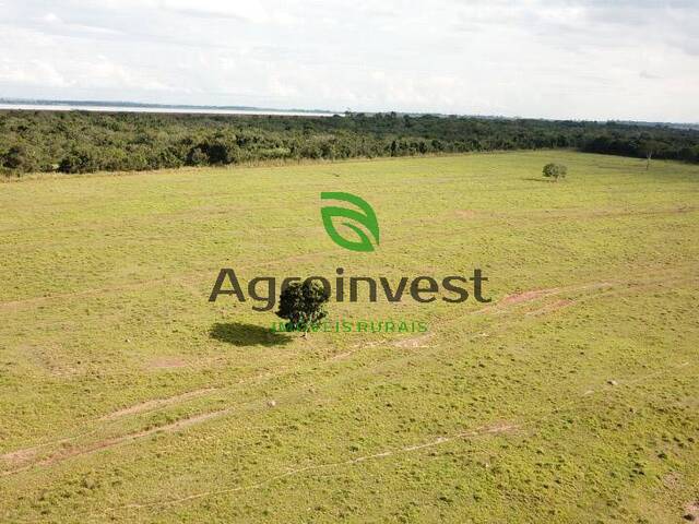Fazenda para Venda em Itumbiara - 5