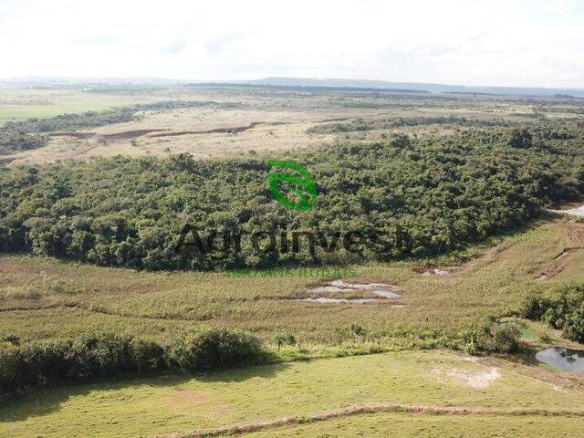 Fazenda para Venda em Itumbiara - 4