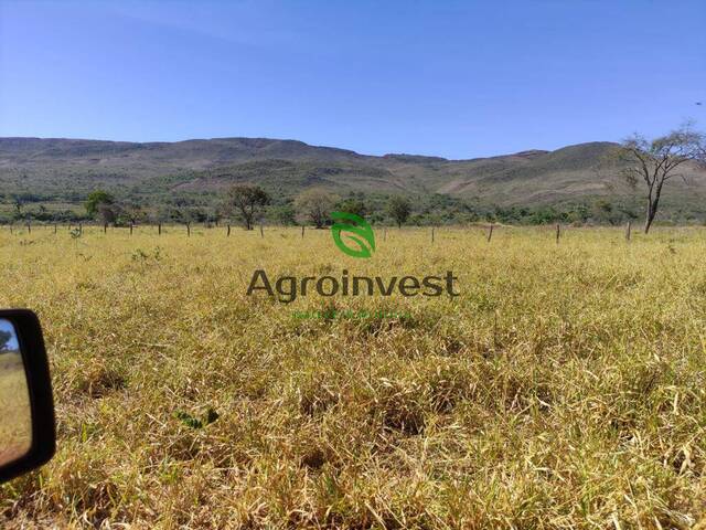 Fazenda para Venda em Niquelândia - 1