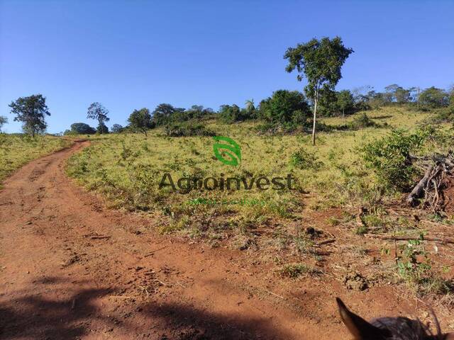 Fazenda para Venda em Niquelândia - 3