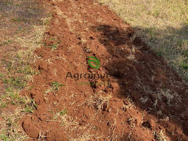 Fazenda para Venda em Paranaíba - 3