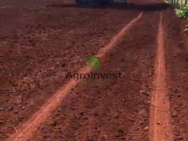 Fazenda para Venda em Paranaíba - 4