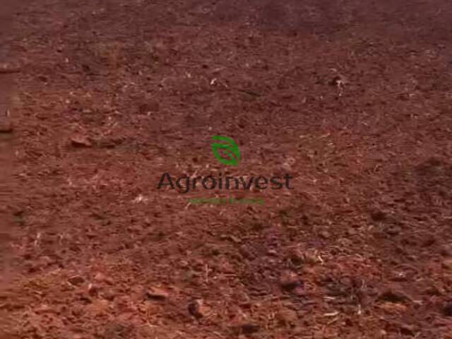 Fazenda para Venda em Paranaíba - 5