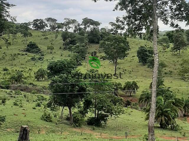 #1013 - Fazenda para Venda em Uruana - GO - 3