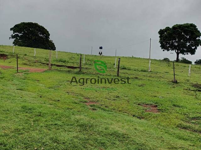 Chácara para Venda em Jaraguá - 5