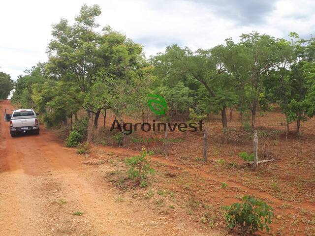 Fazenda para Venda em Goianésia - 5
