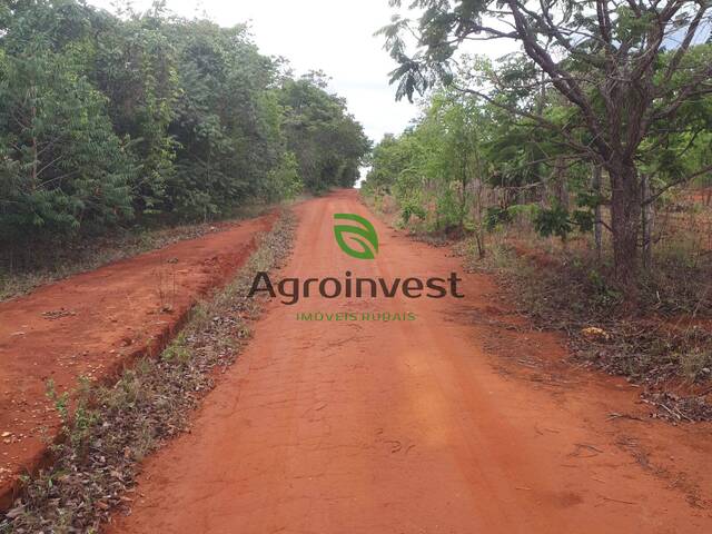 Fazenda para Venda em Goianésia - 3