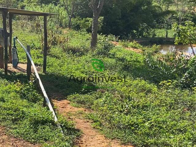 Fazenda para Venda em Olhos-d`Água - 3
