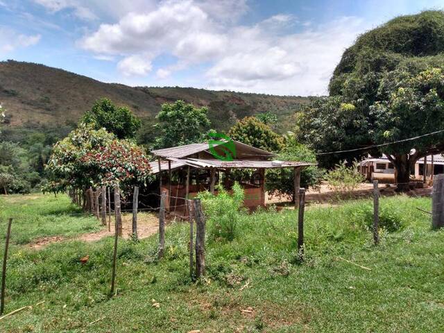 Fazenda para Venda em Olhos-d`Água - 4