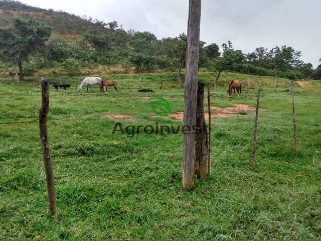 Fazenda para Venda em Olhos-d`Água - 2