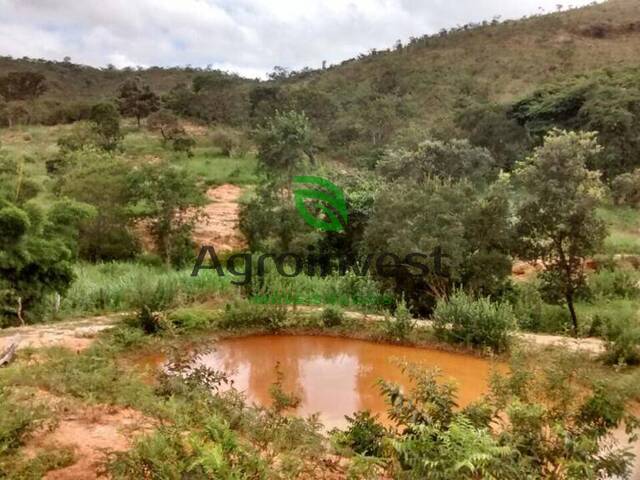 Fazenda para Venda em Olhos-d`Água - 5