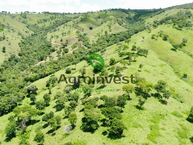Fazenda para Venda em Corumbaíba - 4