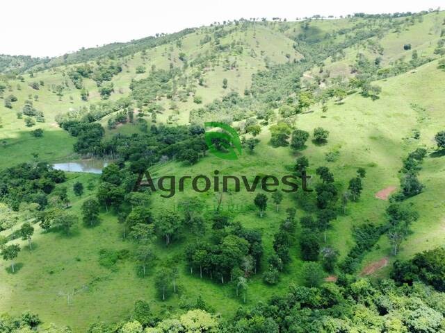 Fazenda para Venda em Corumbaíba - 5