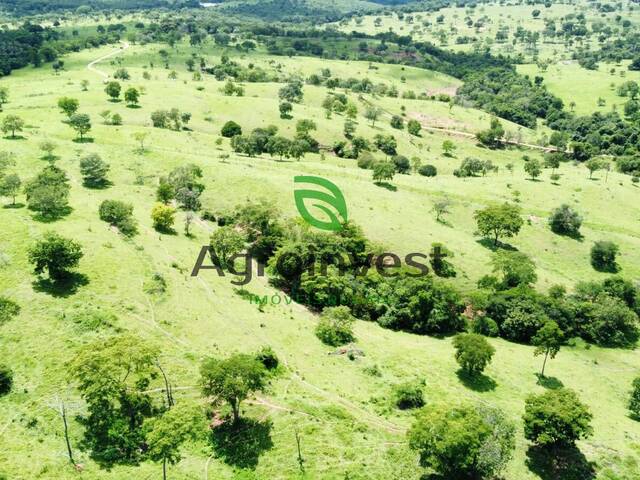 Fazenda para Venda em Corumbaíba - 3