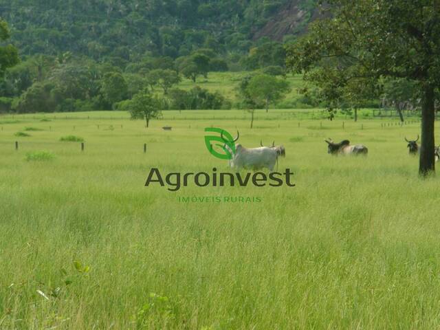 Chácara para Venda em Jussara - 5