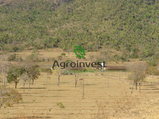 Chácara para Venda em Jussara - 4