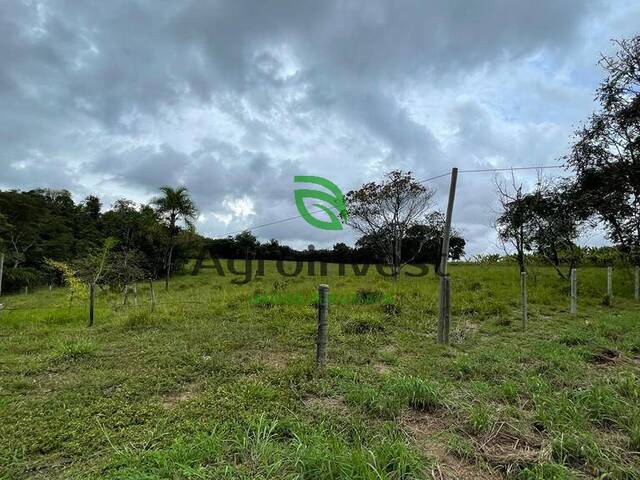 Chácara para Venda em Piracanjuba - 4