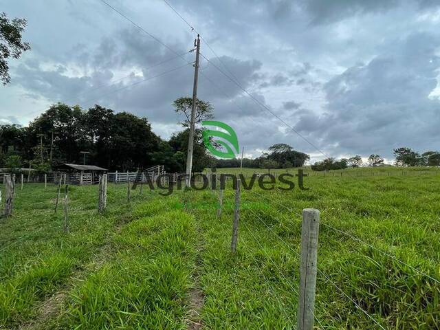 Chácara para Venda em Piracanjuba - 3