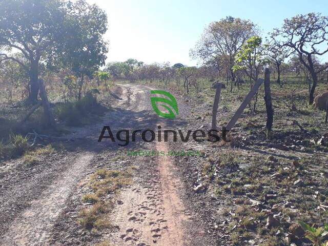 #905 - Fazenda para Venda em Rio Sono - TO