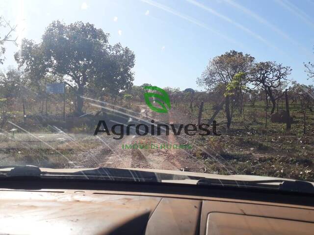 #905 - Fazenda para Venda em Rio Sono - TO