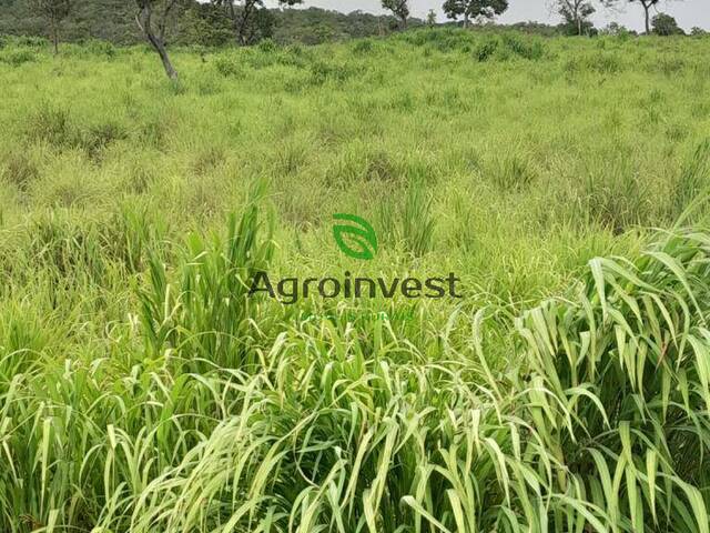 Fazenda para Venda em São Salvador do Tocantins - 4