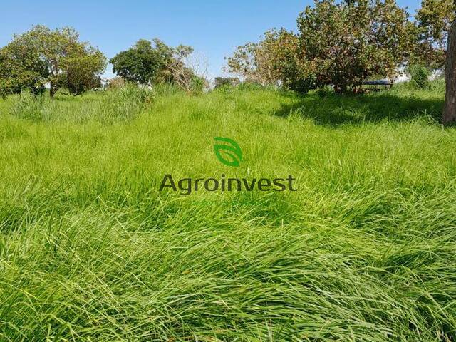 Fazenda para Venda em São Salvador do Tocantins - 3
